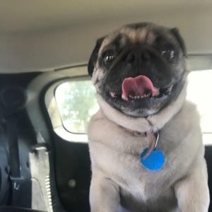 Meet your Posher, Heather